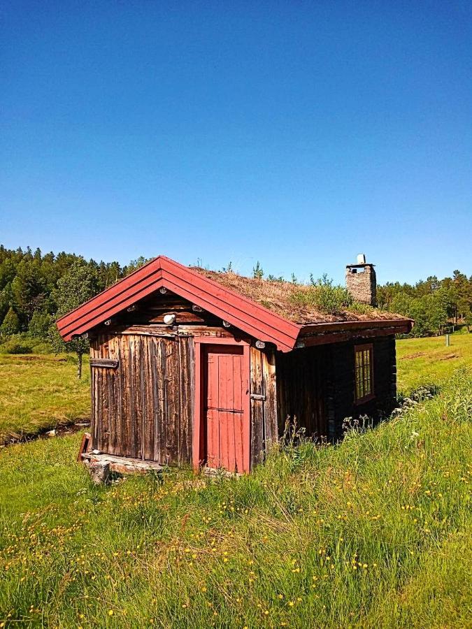 Rondane Friluftssenter Rondetunet Brenn Zewnętrze zdjęcie