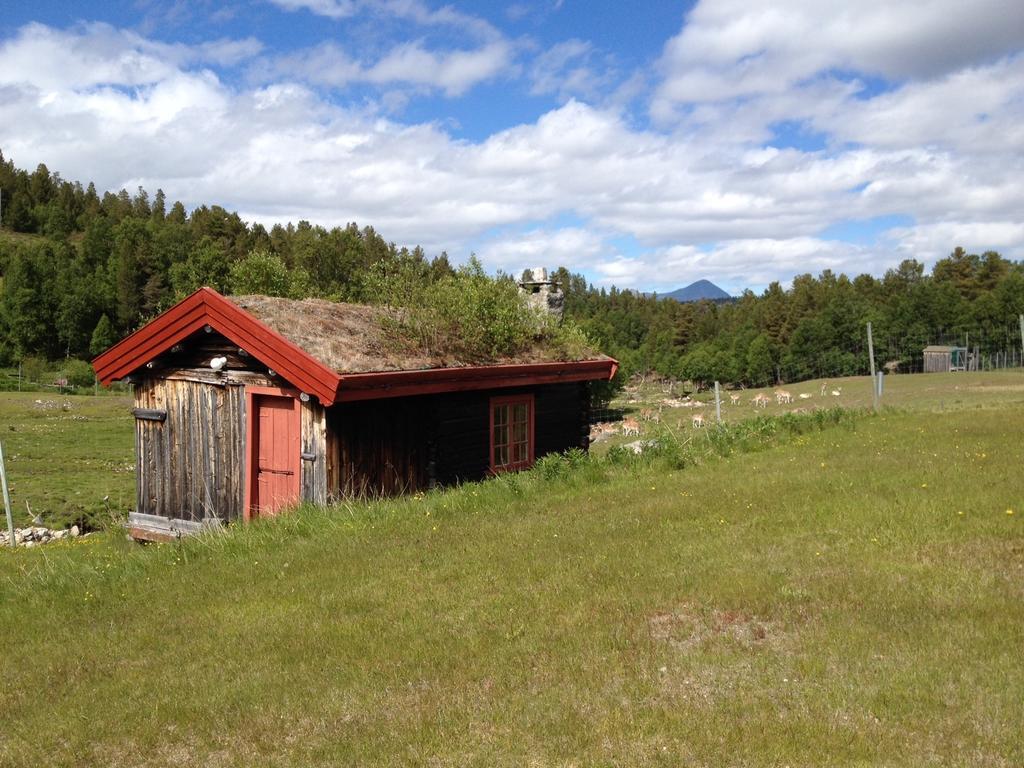 Rondane Friluftssenter Rondetunet Brenn Pokój zdjęcie